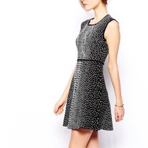 BCBG Black and White A-Line Mini Dress